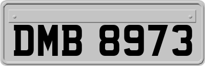 DMB8973