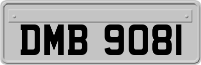 DMB9081
