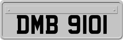 DMB9101