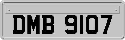 DMB9107