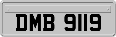 DMB9119