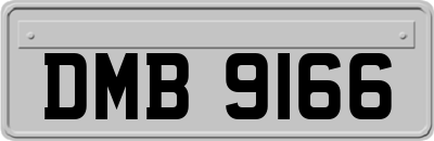 DMB9166