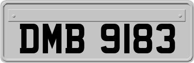 DMB9183