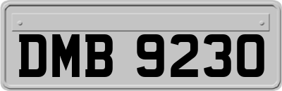 DMB9230