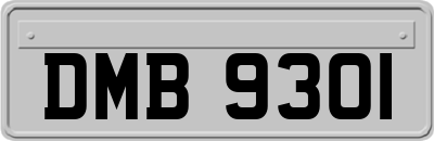 DMB9301