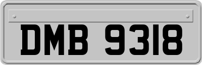 DMB9318