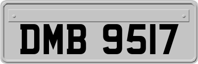 DMB9517