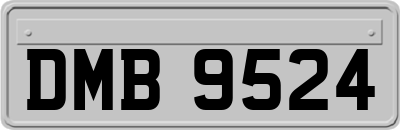 DMB9524