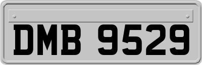 DMB9529