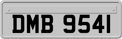 DMB9541