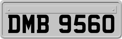 DMB9560