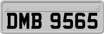 DMB9565
