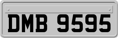 DMB9595