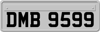 DMB9599