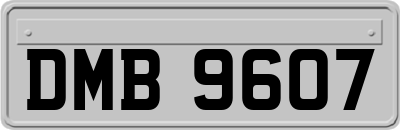 DMB9607