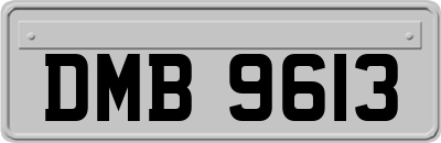 DMB9613