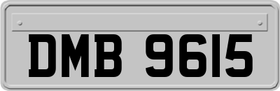 DMB9615