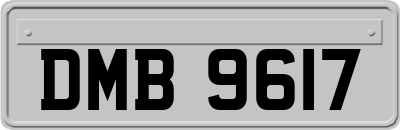 DMB9617