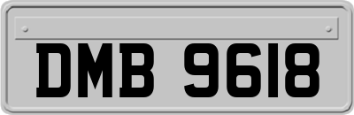 DMB9618