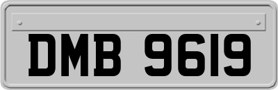 DMB9619