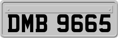DMB9665
