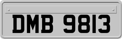 DMB9813