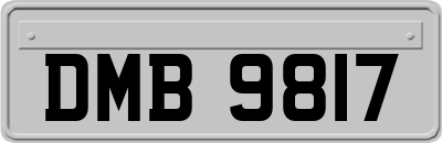 DMB9817