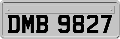 DMB9827