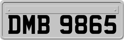 DMB9865