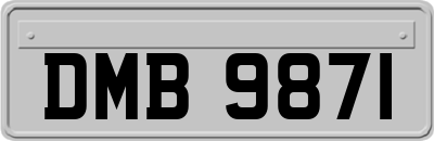 DMB9871