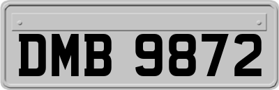 DMB9872