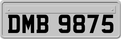 DMB9875