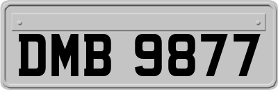 DMB9877