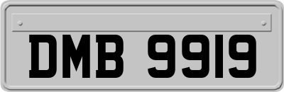 DMB9919