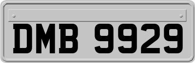 DMB9929