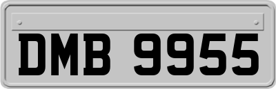 DMB9955