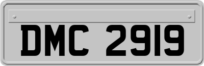 DMC2919