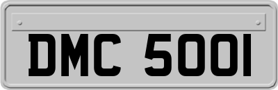 DMC5001