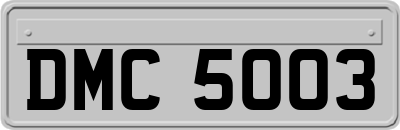 DMC5003