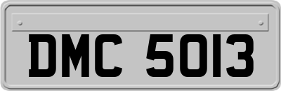 DMC5013