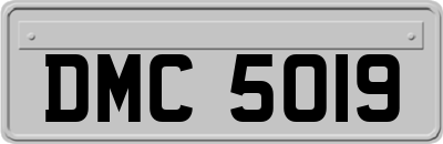 DMC5019