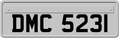 DMC5231