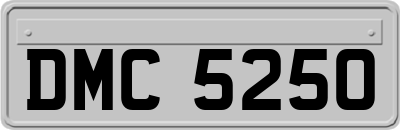 DMC5250