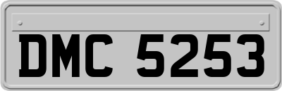 DMC5253