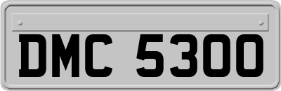 DMC5300