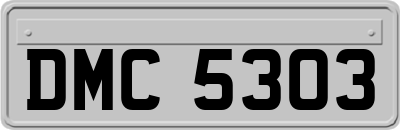DMC5303
