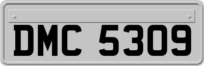 DMC5309