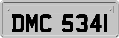 DMC5341