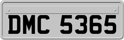 DMC5365