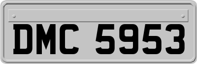 DMC5953